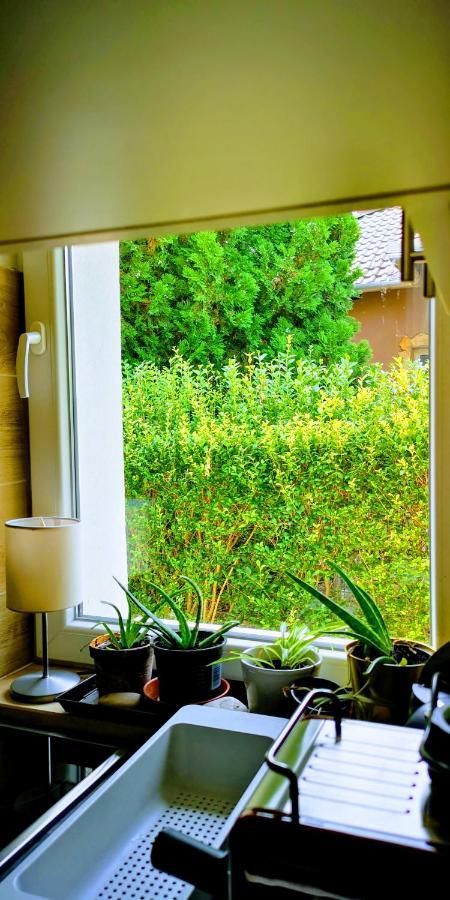 Arvalanyhaj Home Apartman Herceghalom Exterior foto